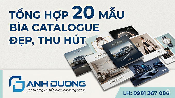 Tổng hợp 20 mẫu bìa catalogue đẹp, thu hút