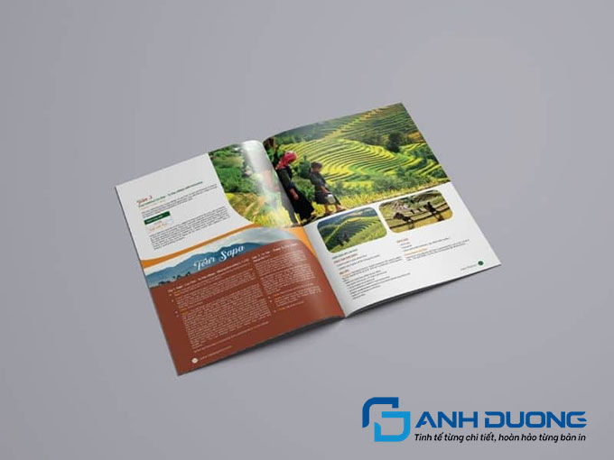 Thiết Kế Đậm Chất Văn Hóa (Cultural & Heritage Vibe)