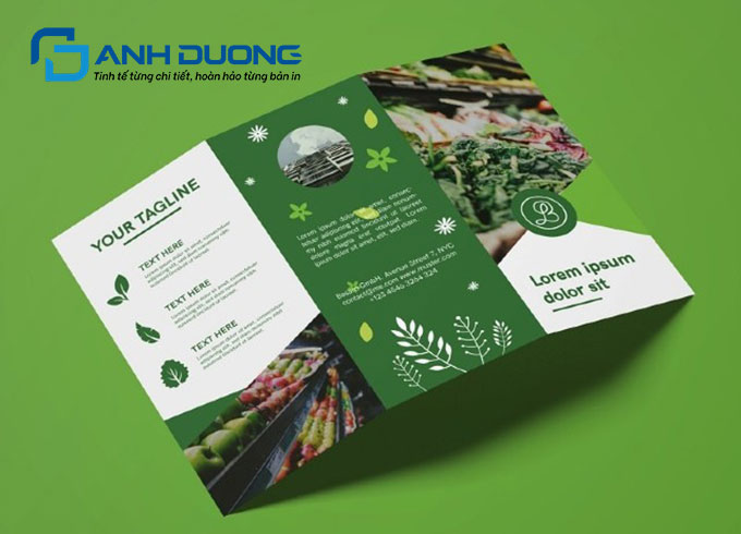 Nguyên Tắc Thiết Kế Brochure Cơ Bản