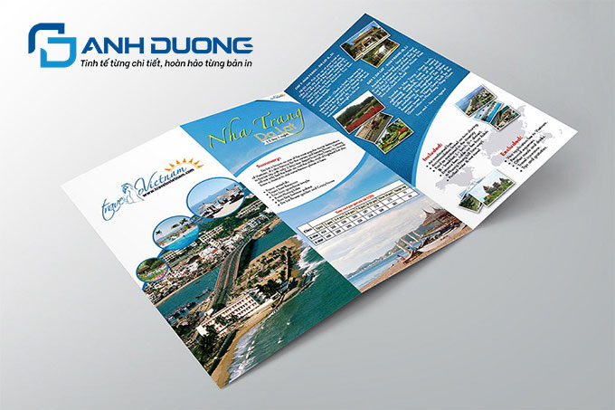 Vai Trò Của Brochure Trong Chiến Lược Marketing