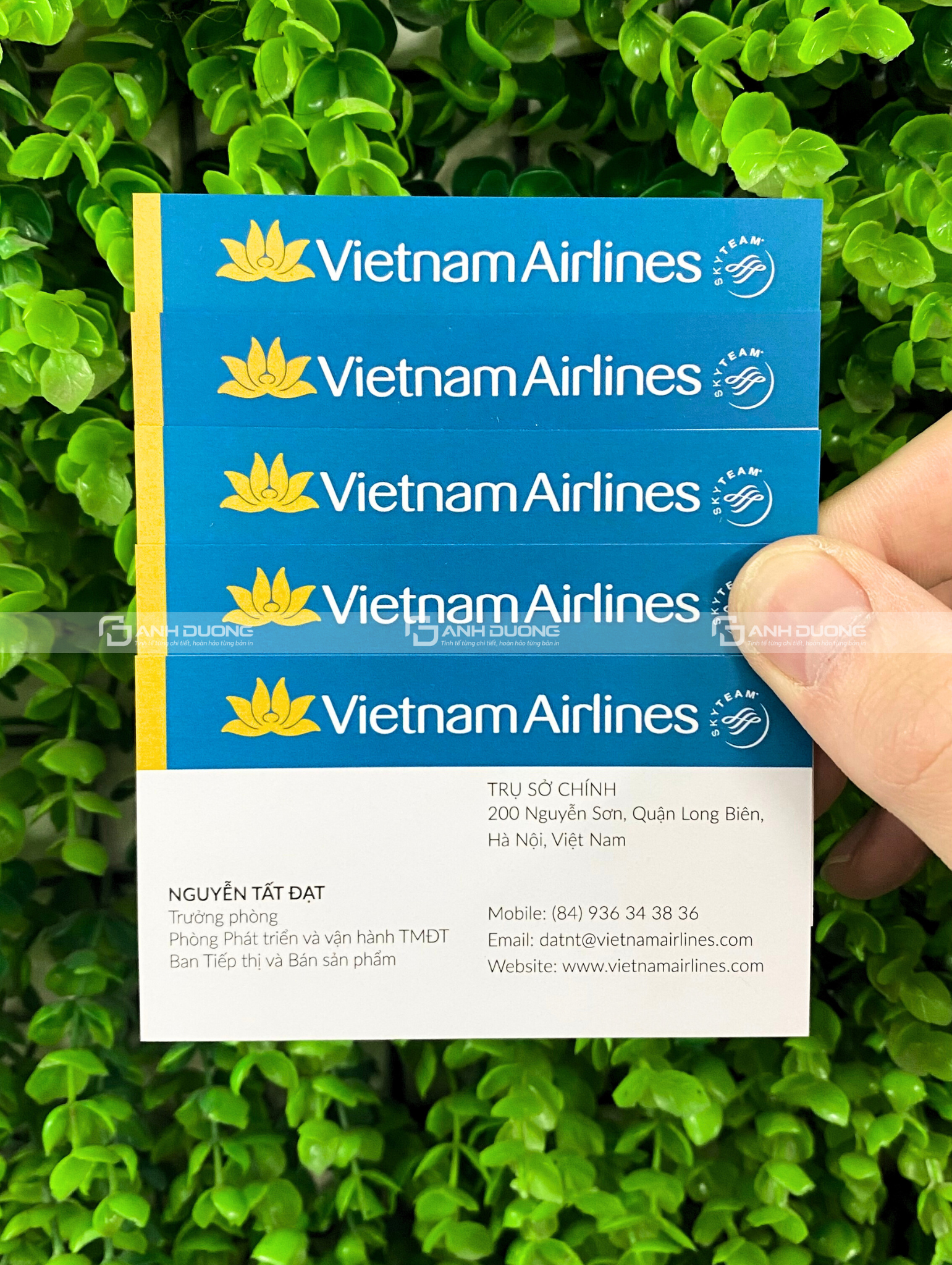 In card nhựa, card visit nhựa trong Đẹp - Sang - Giá Tốt 4 In card nhựa tại Ánh Dương