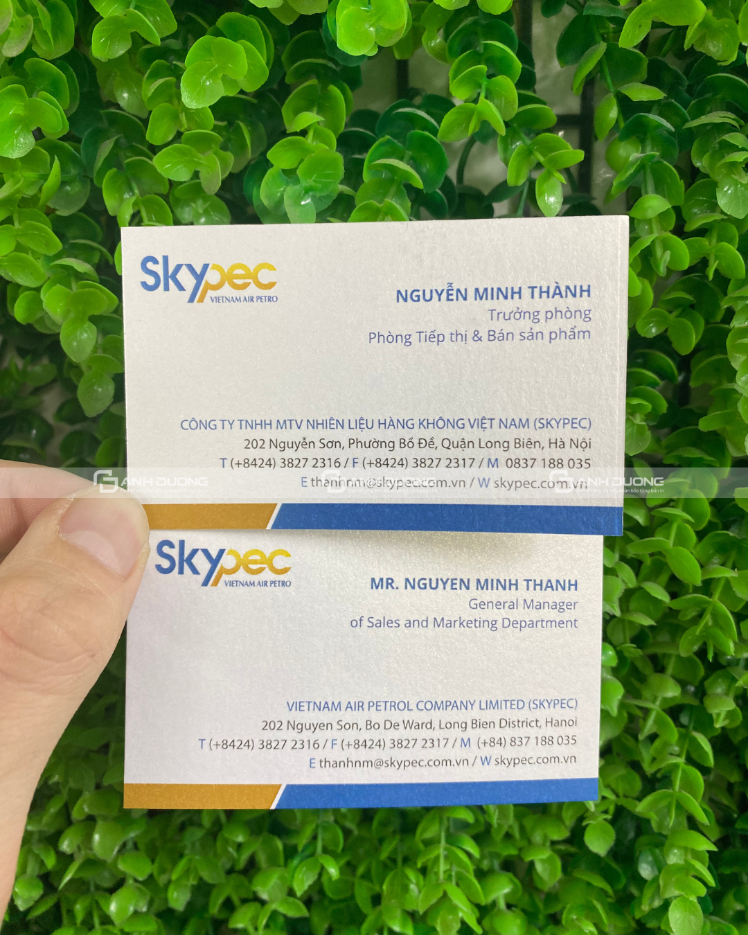 In card giấy mỹ thuật, card visit giấy thơm sang trọng 2026 2 In card giấy mỹ thuật tại Ánh Dương