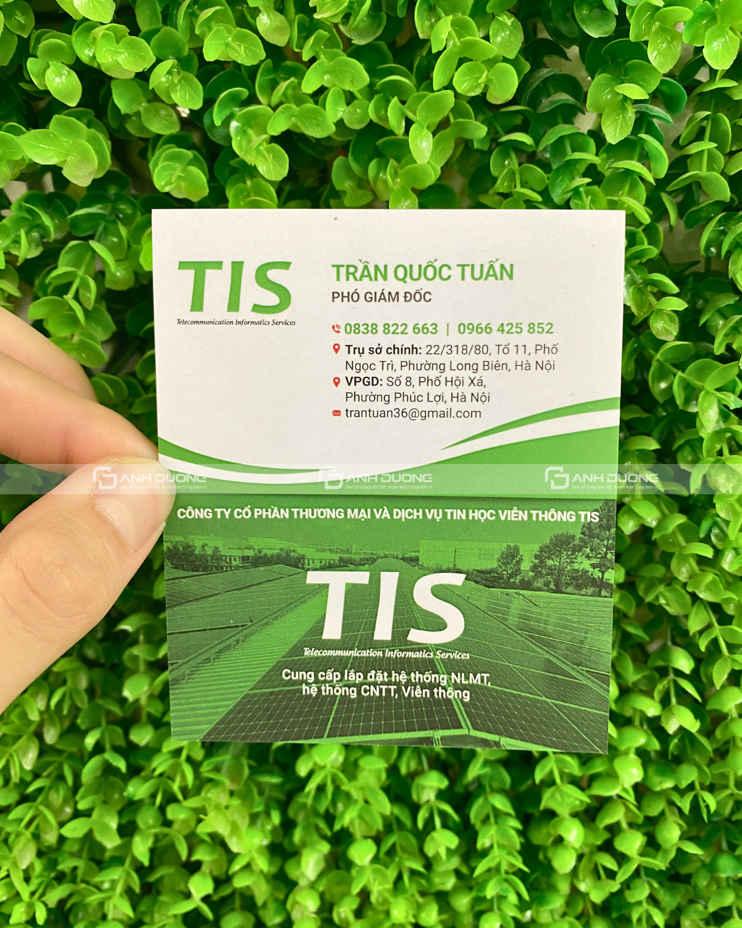 Kích thước card visit, khổ giấy card visit chuẩn 2026 5 Kích thước card visit tại Ánh Dương