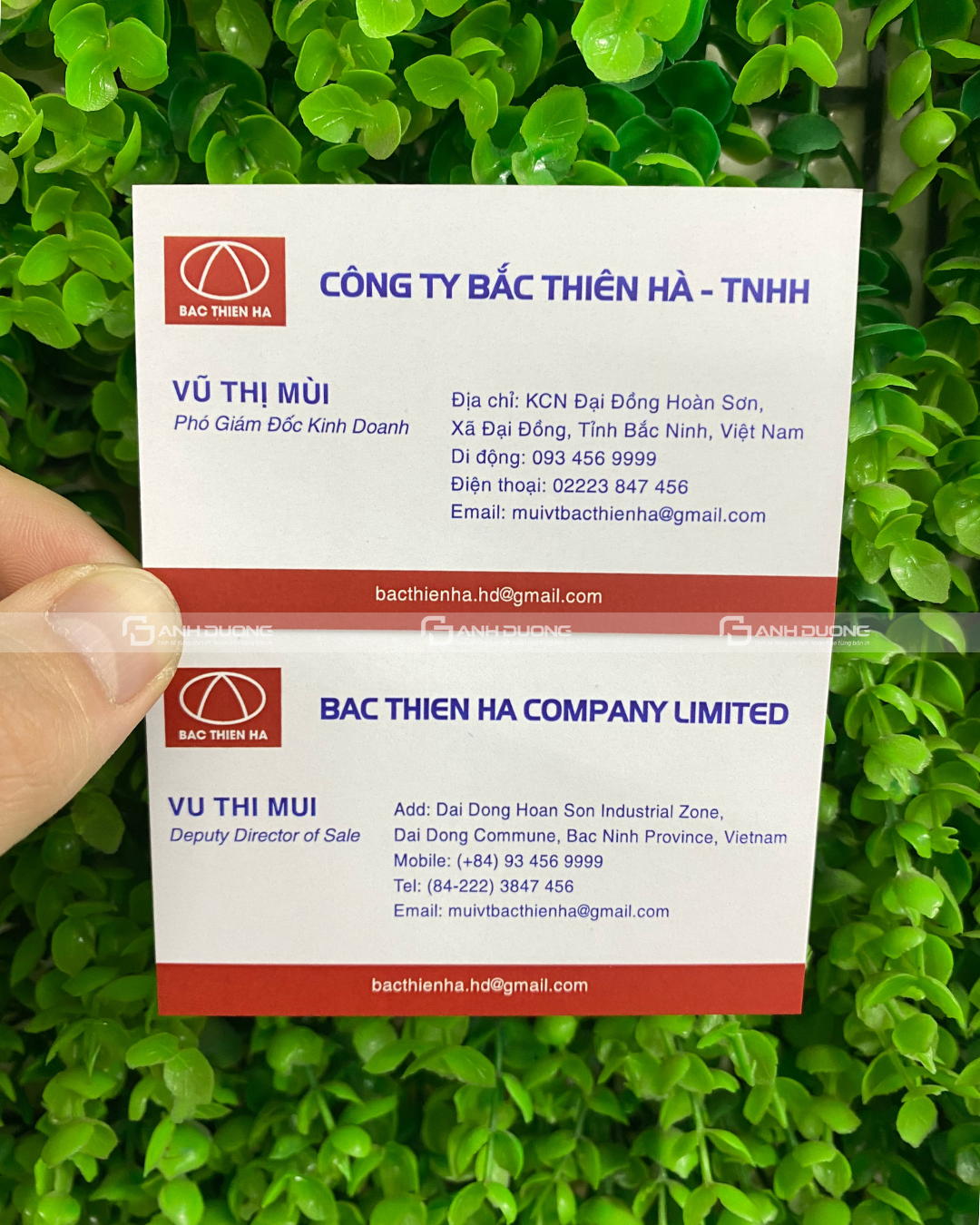 In card nhựa, card visit nhựa trong Đẹp - Sang - Giá Tốt 3 In card nhựa tại Ánh Dương