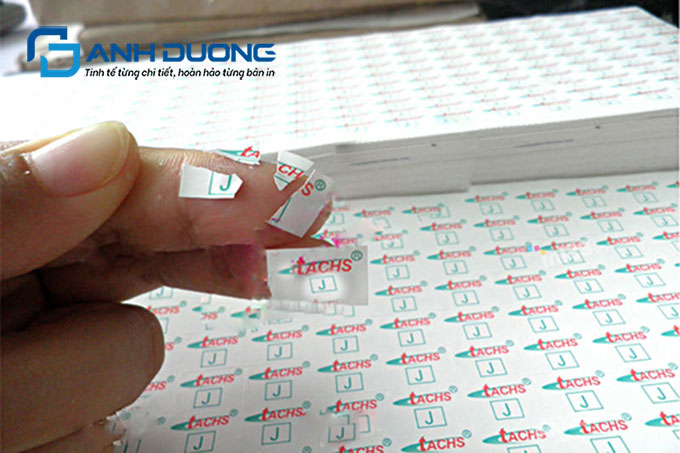 Báo Giá In Tem Bảo Hành Mới Nhất 2026