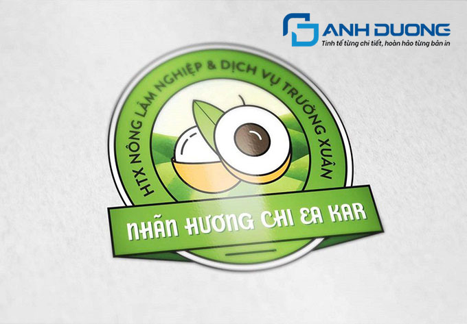 Phân tích chi tiết: Nên chọn Decal trong hay Decal giấy?