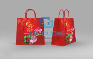 Túi giấy đựng quà tết đơn giản