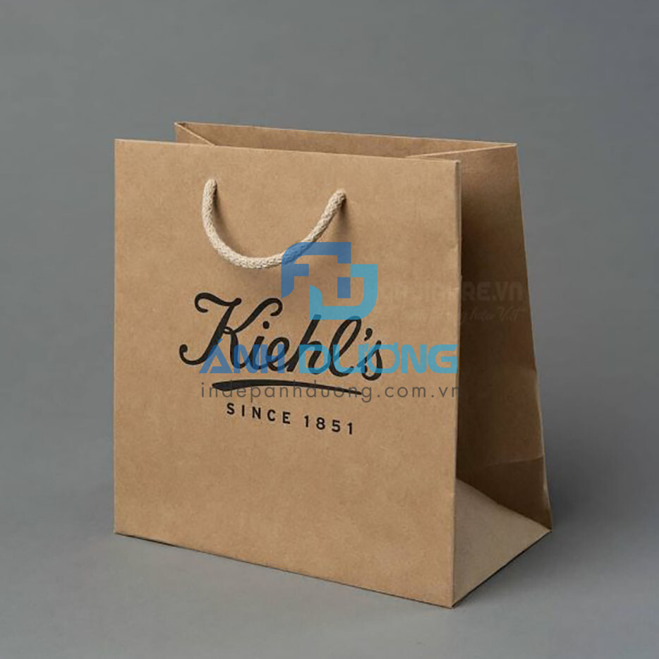 Túi giấy Kraft đẹp in tên thương hiệu lớn, dễ nhận diện