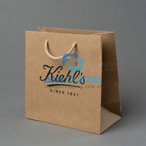 Túi giấy Kraft đơn giản