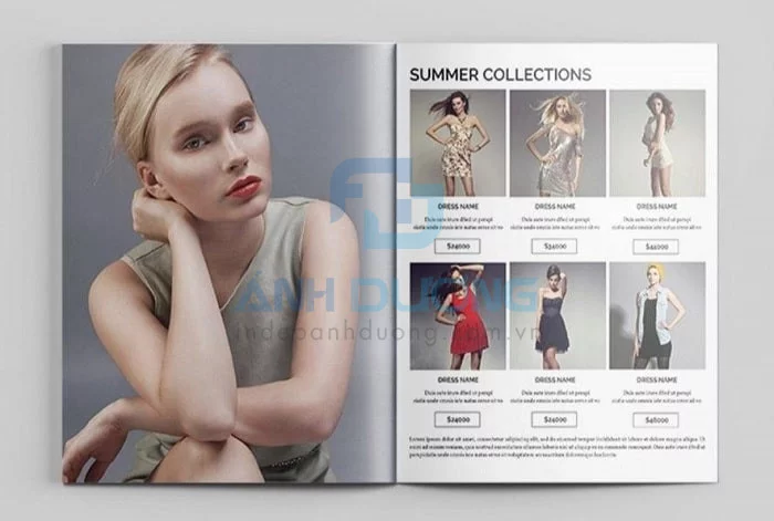 Kích Thước Catalogue Phổ Biến & Cách Chọn Khổ In 1 Minh họa kích thước catalogue phổ biến