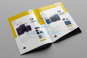 noi dung catalogue