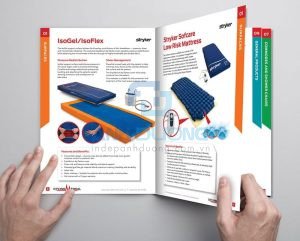 thiet ke catalogue