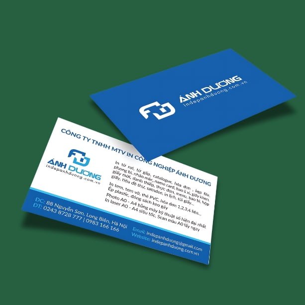 in-card-visit-gia-re