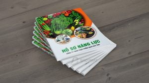 Mẫu hồ sơ năng lực công ty thực phẩm - Cơ bản sắc nét