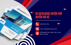 In catalogue Huyện Phú Xuyên giá rẻ lấy ngay năm 2025