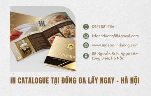 In Catalogue Quận Đống Đa: Giải Pháp Quảng Cáo Hiệu Quả Tại Hà Nội