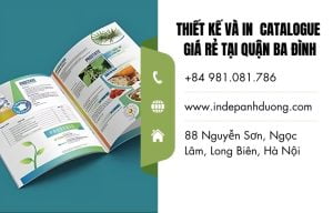 In catalogue tại Ba Đình giá rẻ và uy tín số 1 hiện nay!