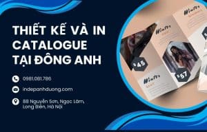 Thiết kế và in Catalogue tại Đông Anh: Giải pháp hoàn hảo cho doanh nghiệp