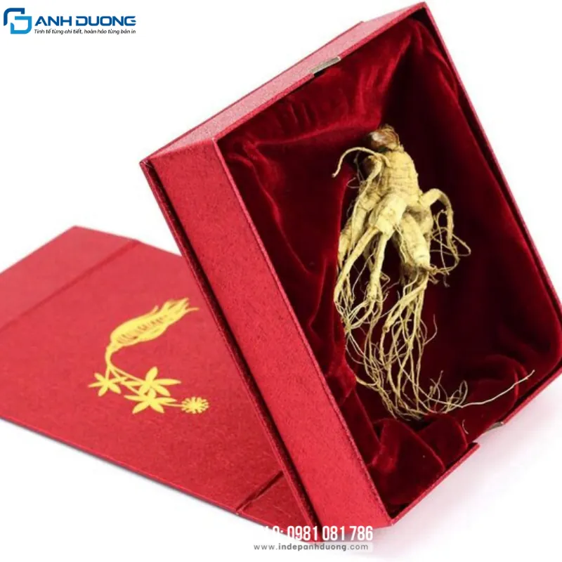Hộp Giấy Đựng Sâm: Thiết Kế Và Gia Công 2 thiết kế hộp đựng sâm thông minh, tiện ích
