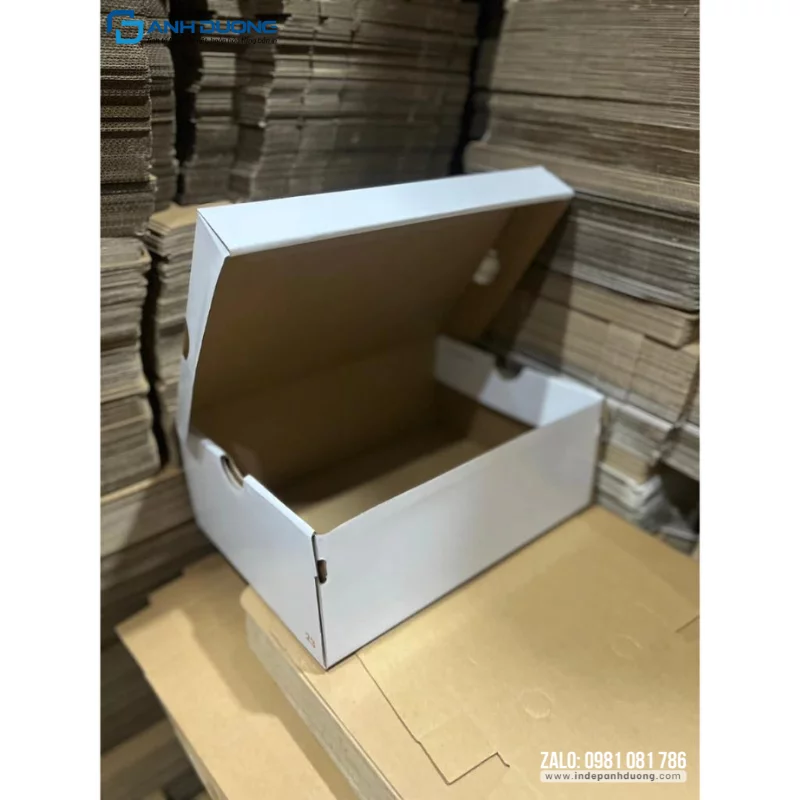 Thiết kế hộp đựng giày theo yêu cầu