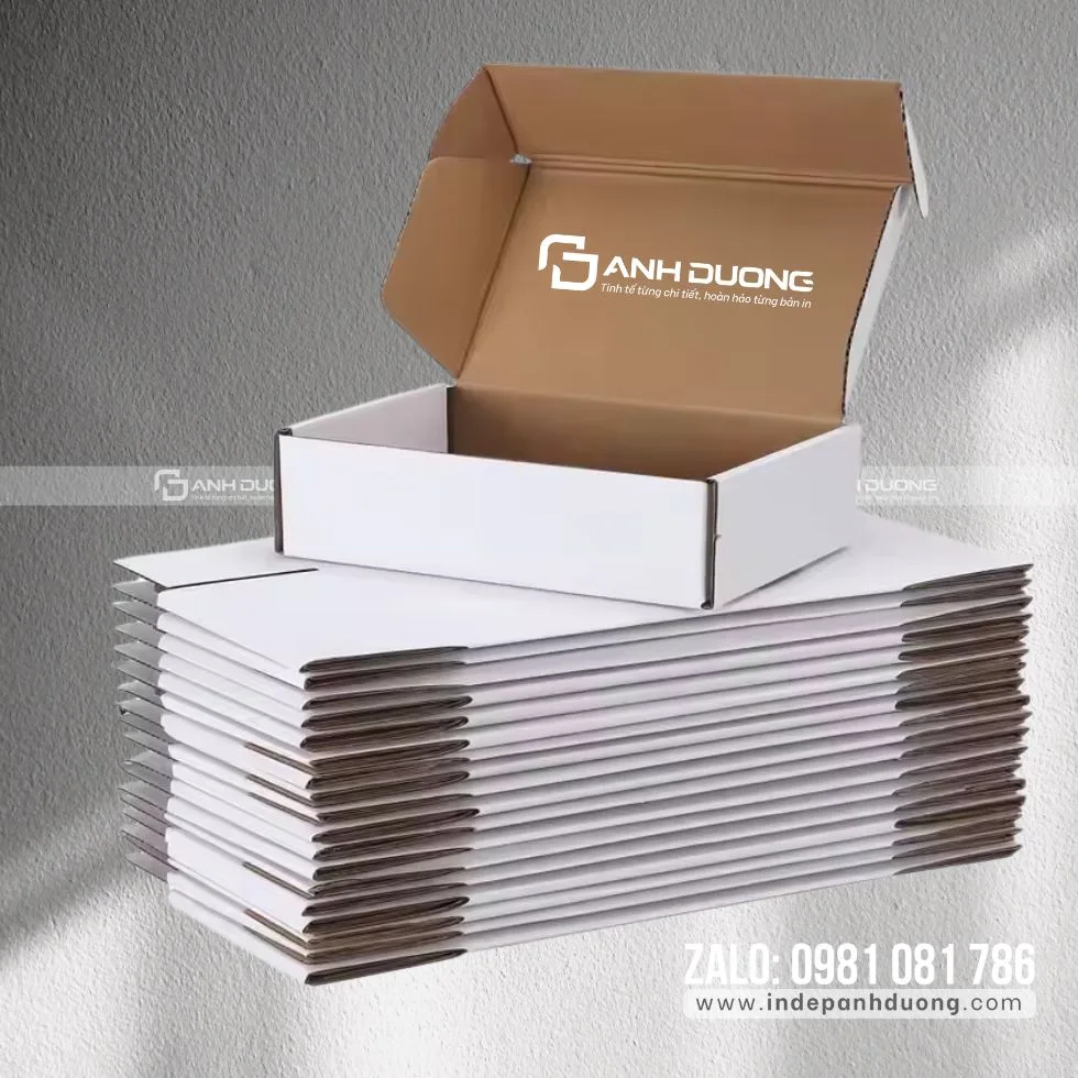 Kết cấu hộp mailer cho bán hàng trực tuyến