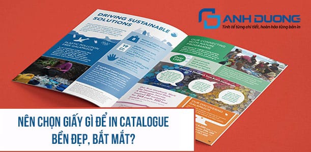 Nên chọn giấy gì để in catalogue bền đẹp, bắt mắt?