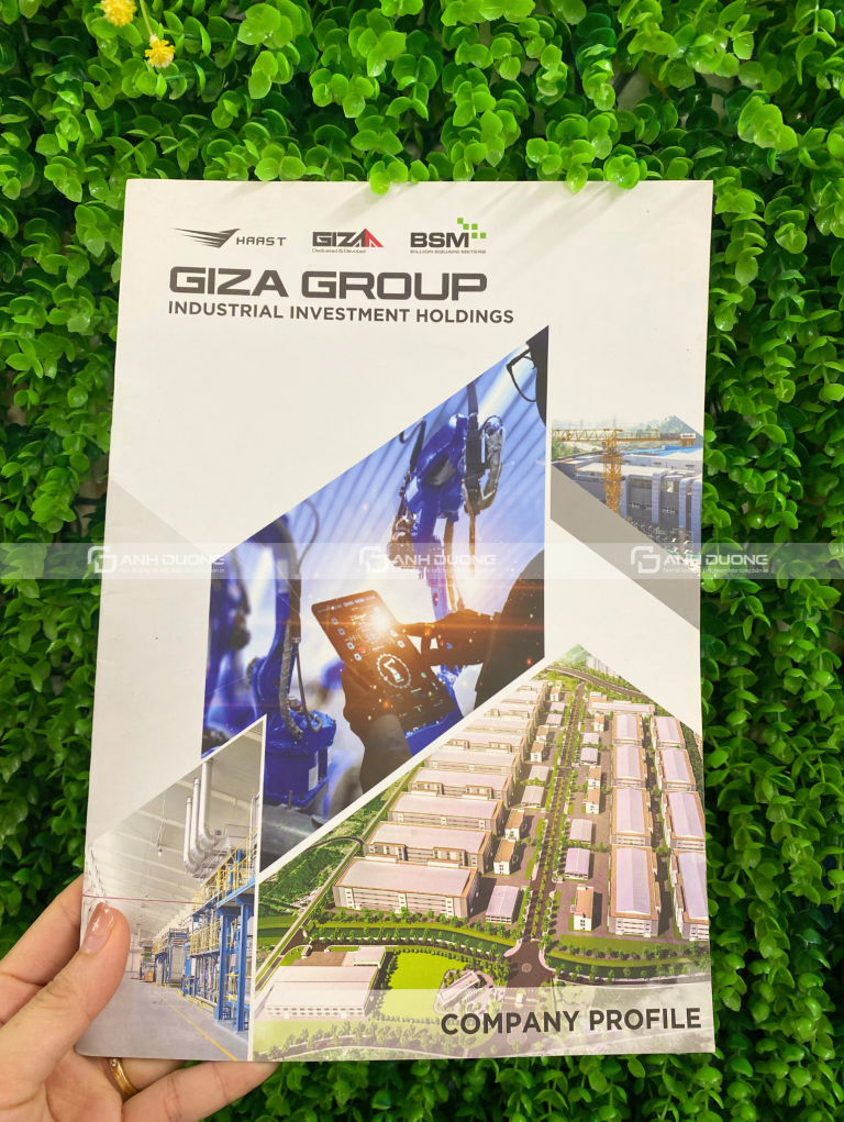 Mẫu bìa catalogue ép kim logo