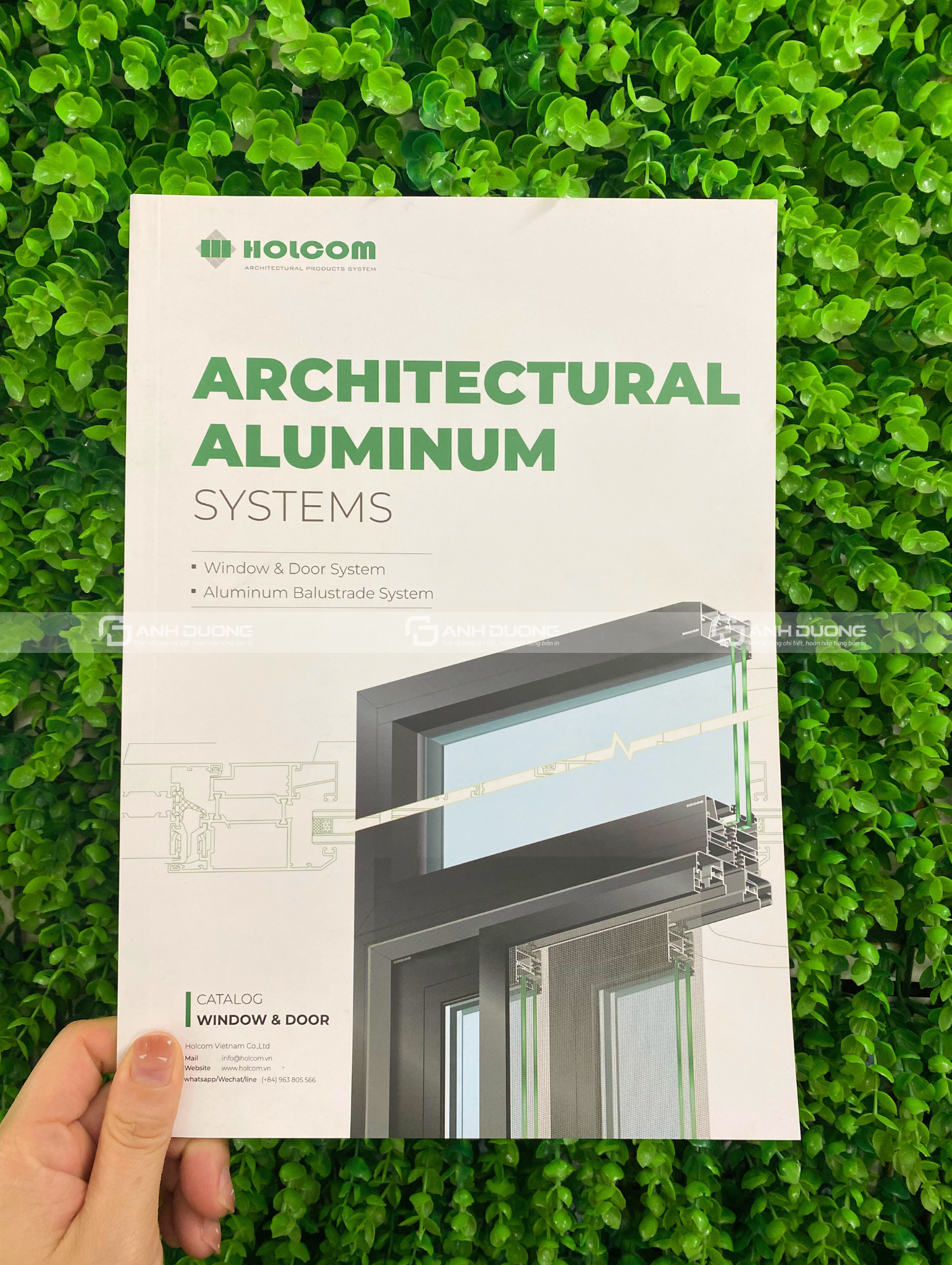 Catalogue giới thiệu chuyên nghiệp