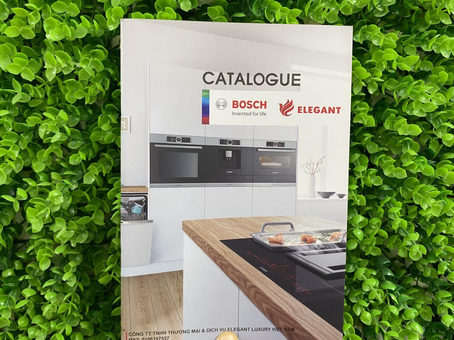 Catalogue A4: Kích Thước, Bố Cục & Cách Đặt In 1 Mẫu catalogue khổ A4
