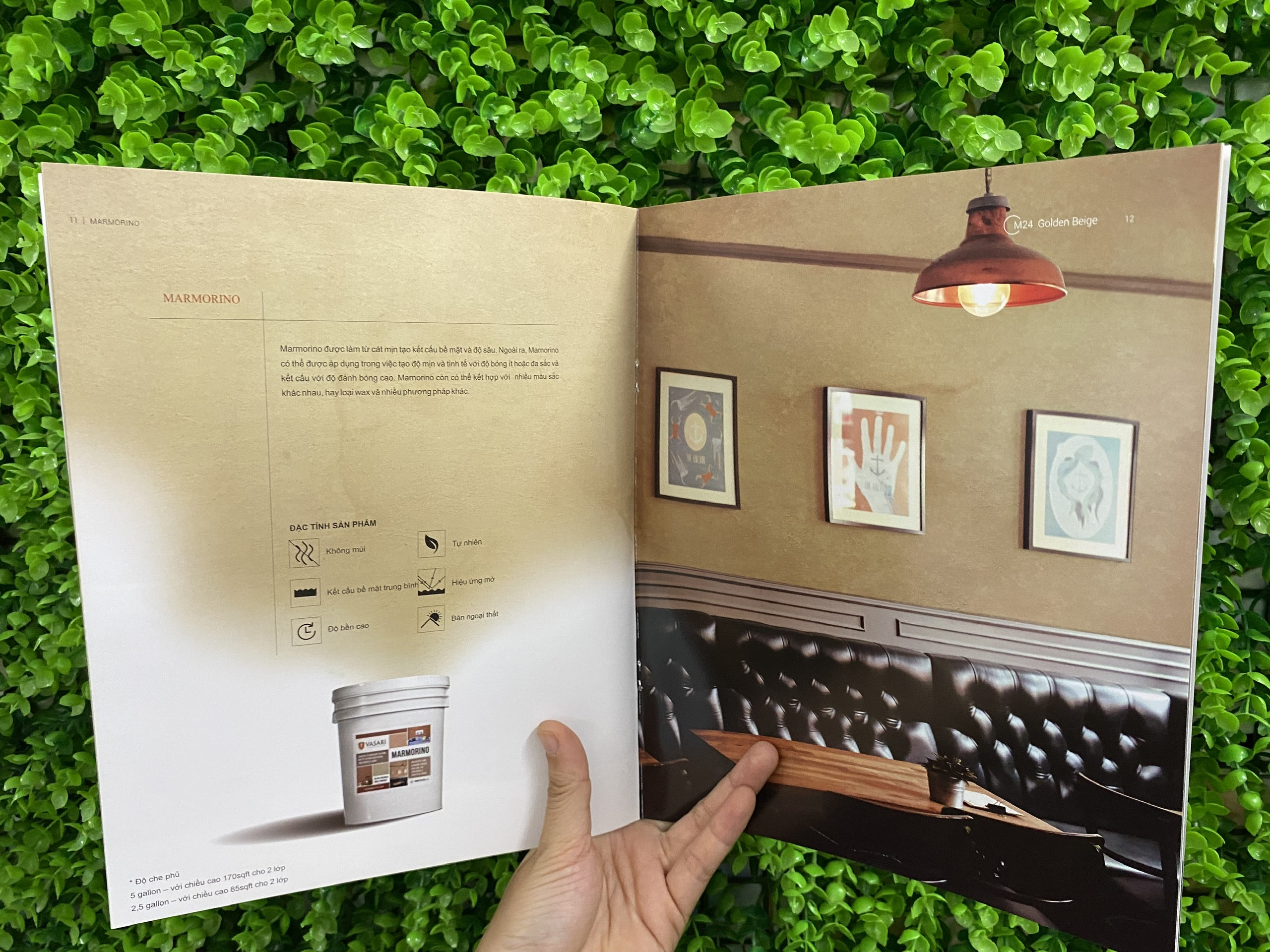 catalog 38