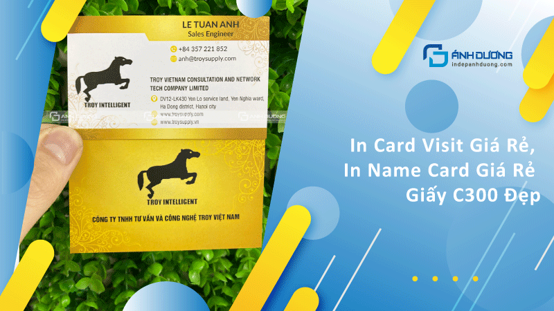 in card visit gia re