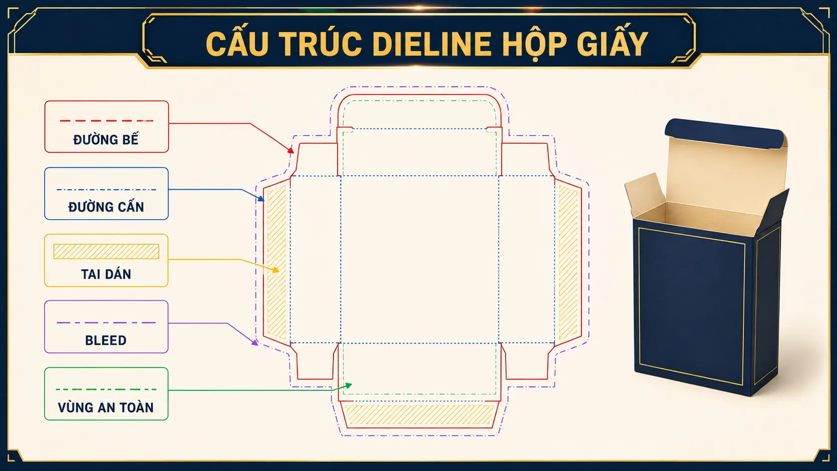 Cấu trúc dieline hộp giấy có chú thích kỹ thuật