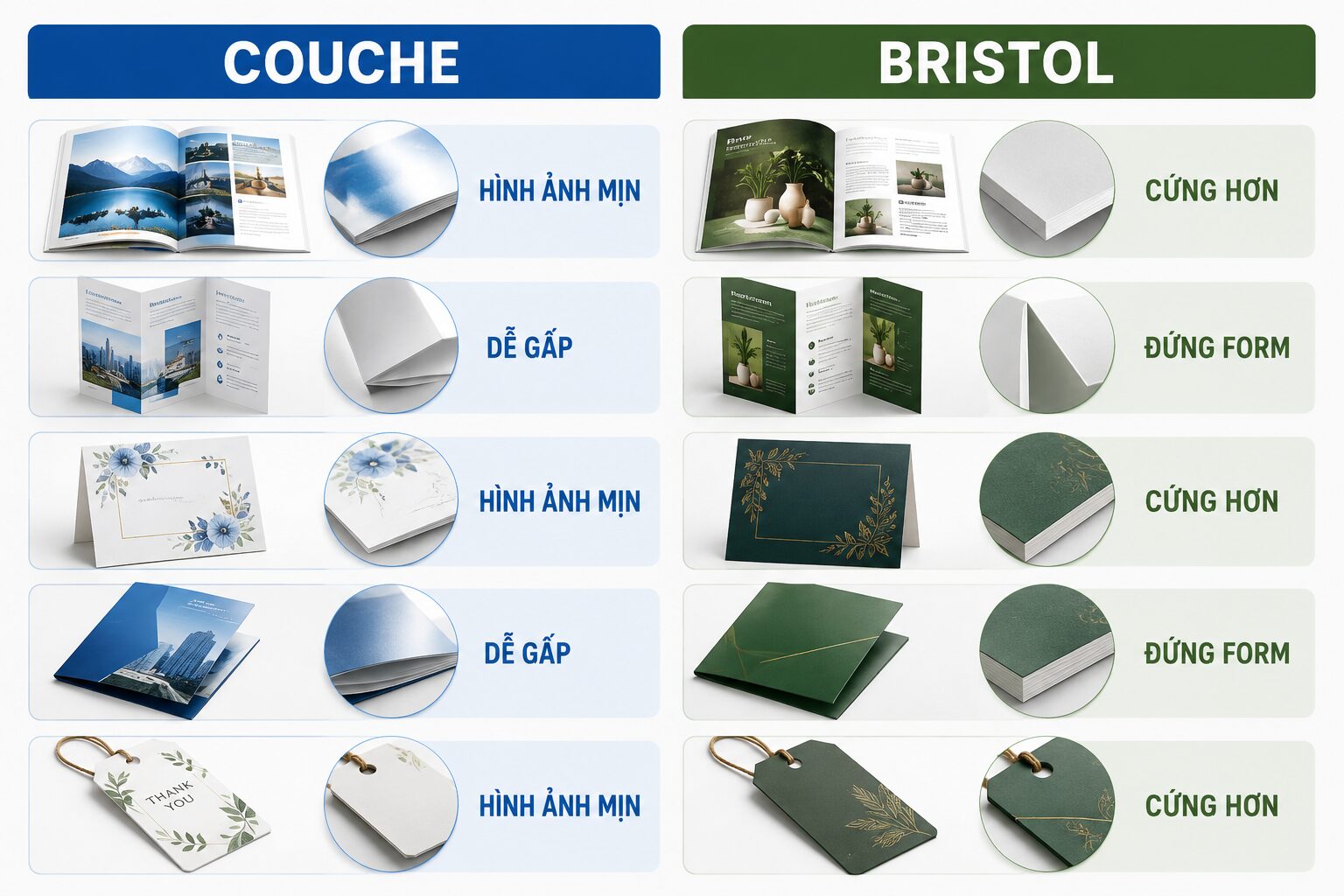 Bảng chọn Couche hoặc Bristol theo hình ảnh và độ đứng form