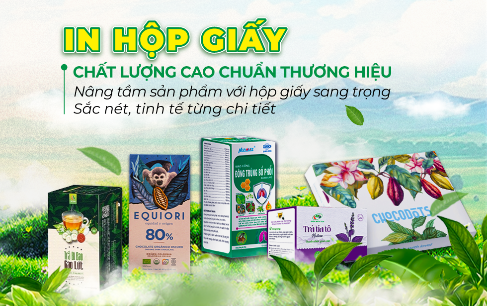 Hộp giấy